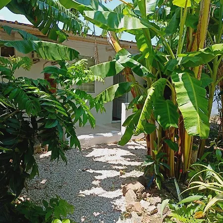 Feriehus Agave Suites 2